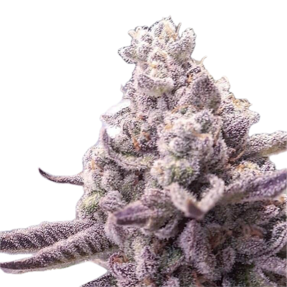 Wedding Pie